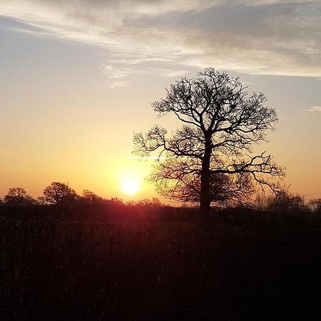 Wrenbury Foxes Field B&B Aston Nantwich المظهر الخارجي الصورة