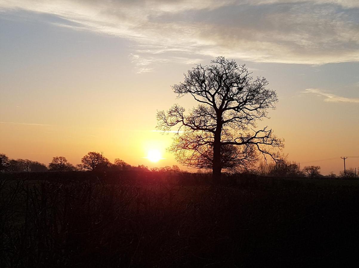 Wrenbury Foxes Field B&B Aston Nantwich المظهر الخارجي الصورة