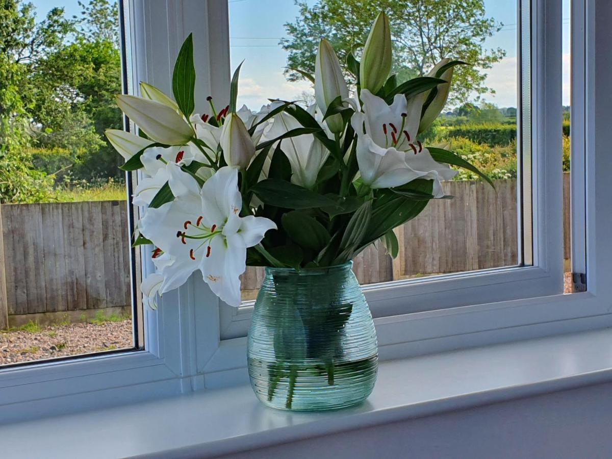 Wrenbury Foxes Field B&B Aston Nantwich المظهر الخارجي الصورة