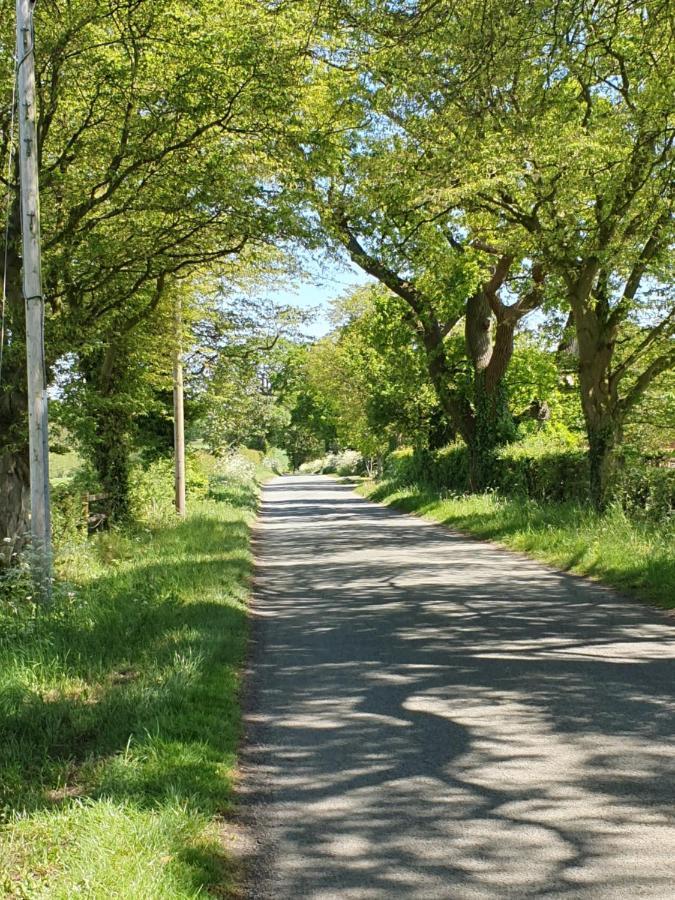 Wrenbury Foxes Field B&B Aston Nantwich المظهر الخارجي الصورة